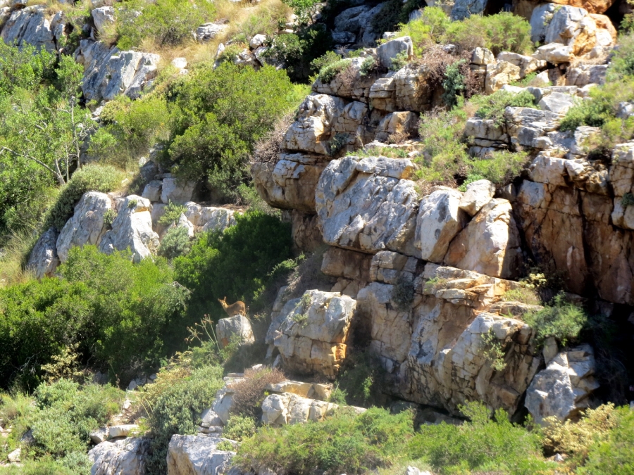 2 Bedroom Property for Sale in Swellendam Rural Western Cape